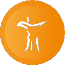 白酒及黄酒展区（传统酒类）